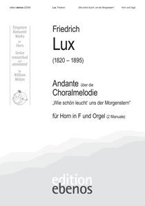 Lux / Andante (Horn und Orgel)